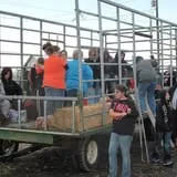 Cayuga Pumpkin Barn photo