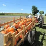 Cayuga Pumpkin Barn photo