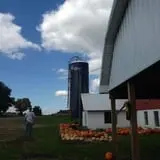 Cayuga Pumpkin Barn photo