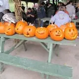 Cayuga Pumpkin Barn photo