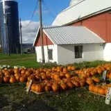 Cayuga Pumpkin Barn photo