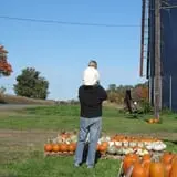 Cayuga Pumpkin Barn photo