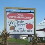 Cayuga Pumpkin Barn photo