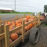 Cayuga Pumpkin Barn photo