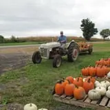 Cayuga Pumpkin Barn photo