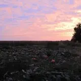 Cayuga Pumpkin Barn photo