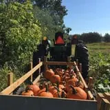 Cayuga Pumpkin Barn photo