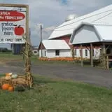 Cayuga Pumpkin Barn photo