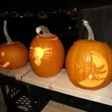 Cayuga Pumpkin Barn photo
