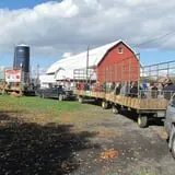 Cayuga Pumpkin Barn photo