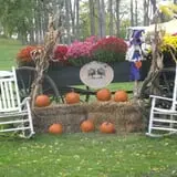Cayuga Pumpkin Barn photo