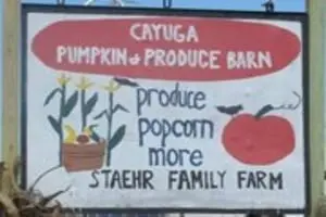 Cayuga Pumpkin Barn