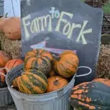 The 200 Acres Great Pumpkin Patch photo