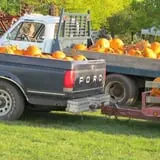 The 200 Acres Great Pumpkin Patch photo