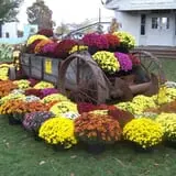 The 200 Acres Great Pumpkin Patch photo