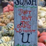 The 200 Acres Great Pumpkin Patch photo