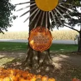 The 200 Acres Great Pumpkin Patch photo