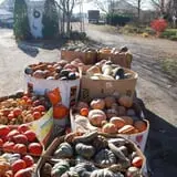 The 200 Acres Great Pumpkin Patch photo