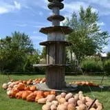 The 200 Acres Great Pumpkin Patch photo