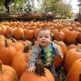The 200 Acres Great Pumpkin Patch photo