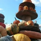 The 200 Acres Great Pumpkin Patch photo