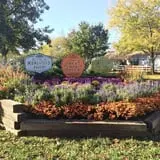 The 200 Acres Great Pumpkin Patch photo