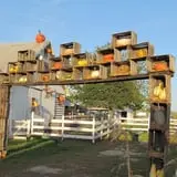 The 200 Acres Great Pumpkin Patch photo