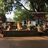 The 200 Acres Great Pumpkin Patch photo