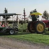 The 200 Acres Great Pumpkin Patch photo