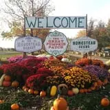 The 200 Acres Great Pumpkin Patch photo