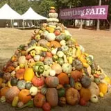 The 200 Acres Great Pumpkin Patch photo