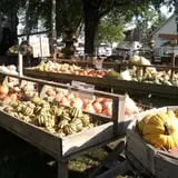 The 200 Acres Great Pumpkin Patch photo