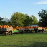 The 200 Acres Great Pumpkin Patch photo