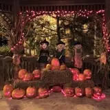 The 200 Acres Great Pumpkin Patch photo