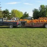 The 200 Acres Great Pumpkin Patch photo