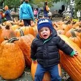 The 200 Acres Great Pumpkin Patch photo