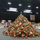 The 200 Acres Great Pumpkin Patch photo