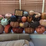 The 200 Acres Great Pumpkin Patch photo