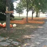 The 200 Acres Great Pumpkin Patch photo