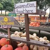 The 200 Acres Great Pumpkin Patch photo