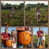 The 200 Acres Great Pumpkin Patch photo