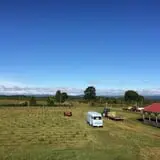 Wilkens Fruit & Fir Farm photo