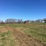 Wilkens Fruit & Fir Farm photo