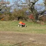 Wilkens Fruit & Fir Farm photo