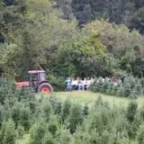 Wilkens Fruit & Fir Farm photo