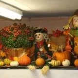 Wilkens Fruit & Fir Farm photo