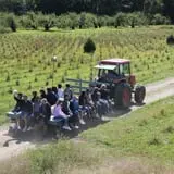 Wilkens Fruit & Fir Farm photo