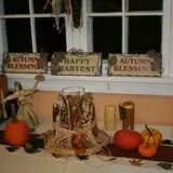 Wilkens Fruit & Fir Farm photo