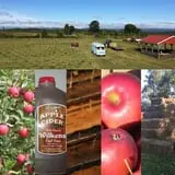 Wilkens Fruit & Fir Farm photo