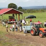 Wilkens Fruit & Fir Farm photo